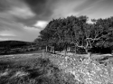 Image%205 (thumbnail)