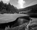 Image%206 (thumbnail)