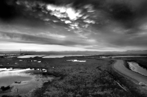 Image%201 (large view)