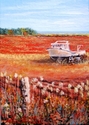 Fishing Boat on a Field in PEI Fishing%20Boat%20on%20a%20Field%20in%20PEI (thumbnail)