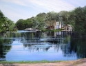 Late Summer on the Cove Late%20Summer%20on%20the%20Cove (thumbnail)