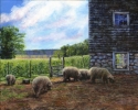 At Home in Wachusett Meadow At%20Home%20in%20Wachusett%20Meadow (thumbnail)