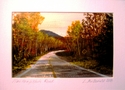 New Hampshire Road New%20Hampshire%20Road (thumbnail)
