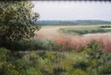 NC Marshlands NC%20Marshlands (thumbnail)