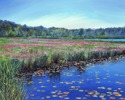 Early June Marsh in Manchester-by-the-Sea Early%20June%20Marsh%20in%20Manchester-by-the-Sea (thumbnail)