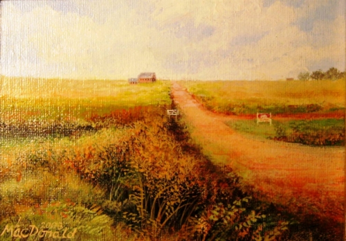 Country%20Road%20in%20PEI (large view)