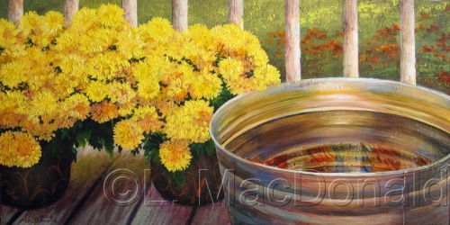 Late Bloomers and Rain Water Late%20Bloomers%20and%20Rain%20Water (thumbnail)