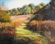 Painting--Acrylic-LandscapePath Through the Meadow
