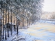 Painting-The Old Shed in New Light