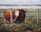 Painting--Acrylic-AnimalsClose Friends