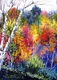 Painting--Acrylic-LandscapeSeptember Colorburst