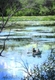Painting--Acrylic-LandscapeVisitors to the Cove