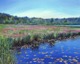 Painting--Acrylic-LandscapeEarly June Marsh in Manchester-by-the-Sea