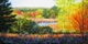 Painting--Acrylic-LandscapeAutumn at High Ridge, Westminster
