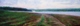 Painting--Acrylic-LandscapeWachusett Reservoir