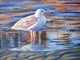 Painting--Acrylic-SeascapeConsidering Breakfast on a September Morning
