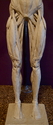 Ecorche (thumbnail)