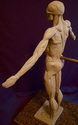 Ecorche (thumbnail)