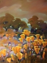Poppies and Palo Verde