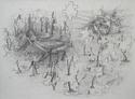 Roger Nelson - Design Drawing pencil, graphite, surrealism, trompe l'oeil, double, image, magnus. - Design Drawing