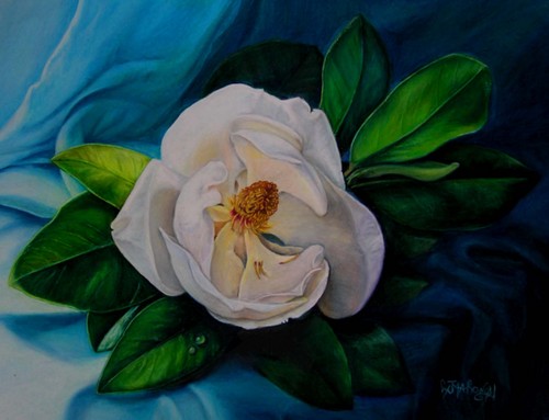 Drawing-Colored pencil-Magnolia on Blue