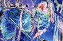 Carrie Repking - Pond Life