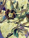 Flower%20Patterns (thumbnail)