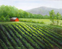 Marilyn Parker - Nature's Bounty