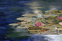 Tranquil Companion