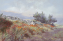 Painting--Oil-LandscapeView Towards Home