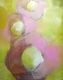 Painting--Oil-FloralWallflower