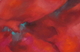 Painting-Red 1