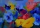 Painting--Pastels-ExpressionistPansies