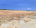 Washington%20Oaks%20Beach (thumbnail)