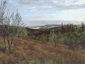 Sunrise%20Olive%20Grove-San%20Fedele (thumbnail)