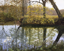 Harrison%20Spring%20Headwaters%2FSOLD (thumbnail)