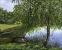 River%20Birch%20Trees%20on%20McCrary%20Lake (thumbnail)