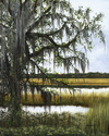 Lowcountry%20Marsh%2FSOLD (thumbnail)