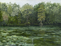 Wakulla%20Springs%20%20Waterway (thumbnail)