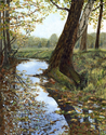 Leaves%20Falling%20Along%20Creek (thumbnail)