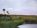 Marsh%20Mallow%20at%20Guana (thumbnail)