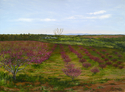 Peach%20Trees%20in%20Bloom%2FSOLD (thumbnail)