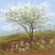 Painting--Acrylic-LandscapeOld Plum Tree