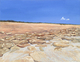 Painting--Acrylic-LandscapeWashington Oaks Beach