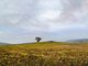 Painting--Acrylic-LandscapeLast Tree Standing