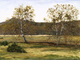 Painting--Acrylic-LandscapeSycamore Trees