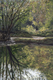 Painting--Acrylic-LandscapeRelections In Stream