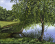 Painting--Acrylic-LandscapeRiver Birch Trees on McCrary Lake
