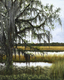 Painting--Acrylic-LandscapeLowcountry Marsh/SOLD