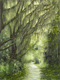 Painting--Acrylic-LandscapeOak Lined Path